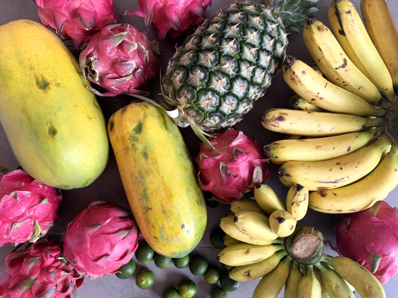 Raw Food Diet