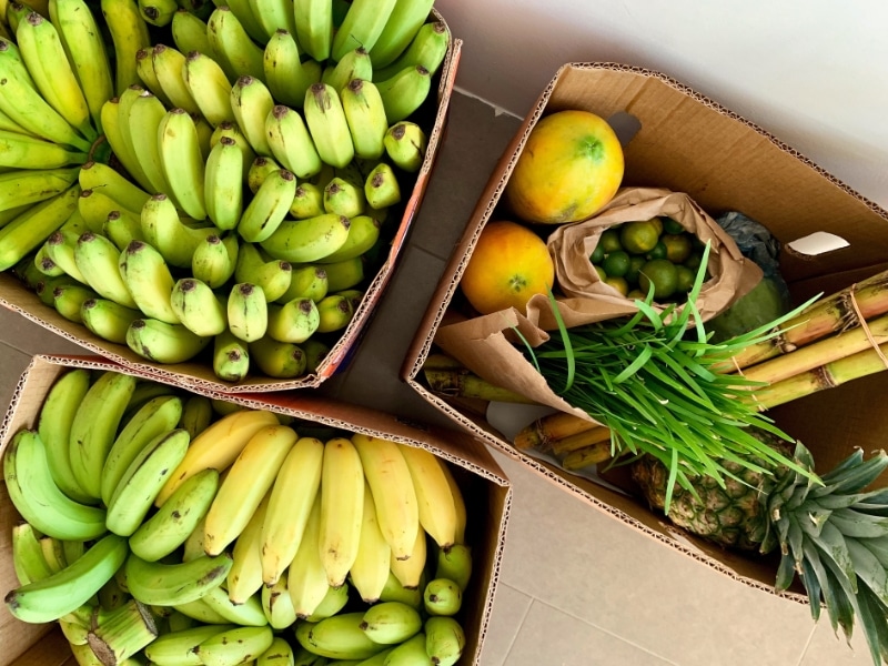 Less plastic waste_Fruits and Veggies