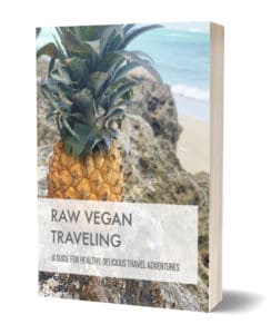 Raw Vegan Traveling Ebook Snippet