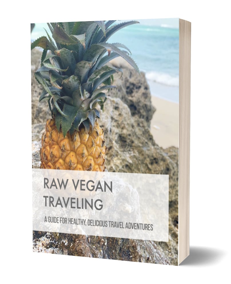 Raw Vegan Traveling Ebook Snippet