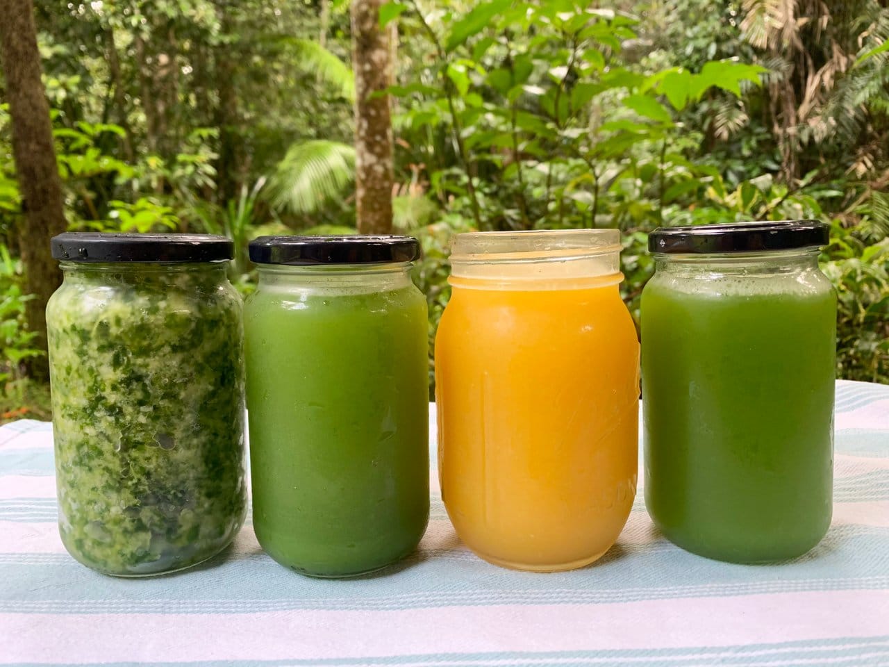 Raw Vegan Hydration