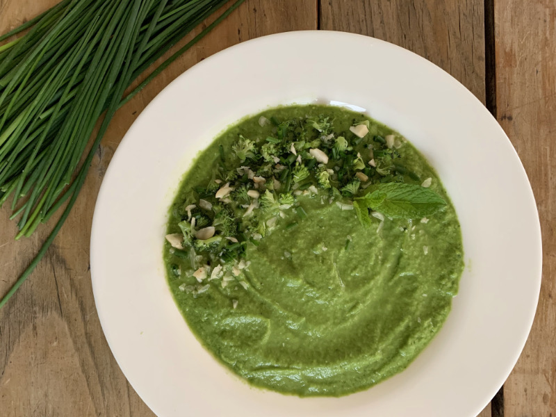 Raw Vegan Broccoli Soup